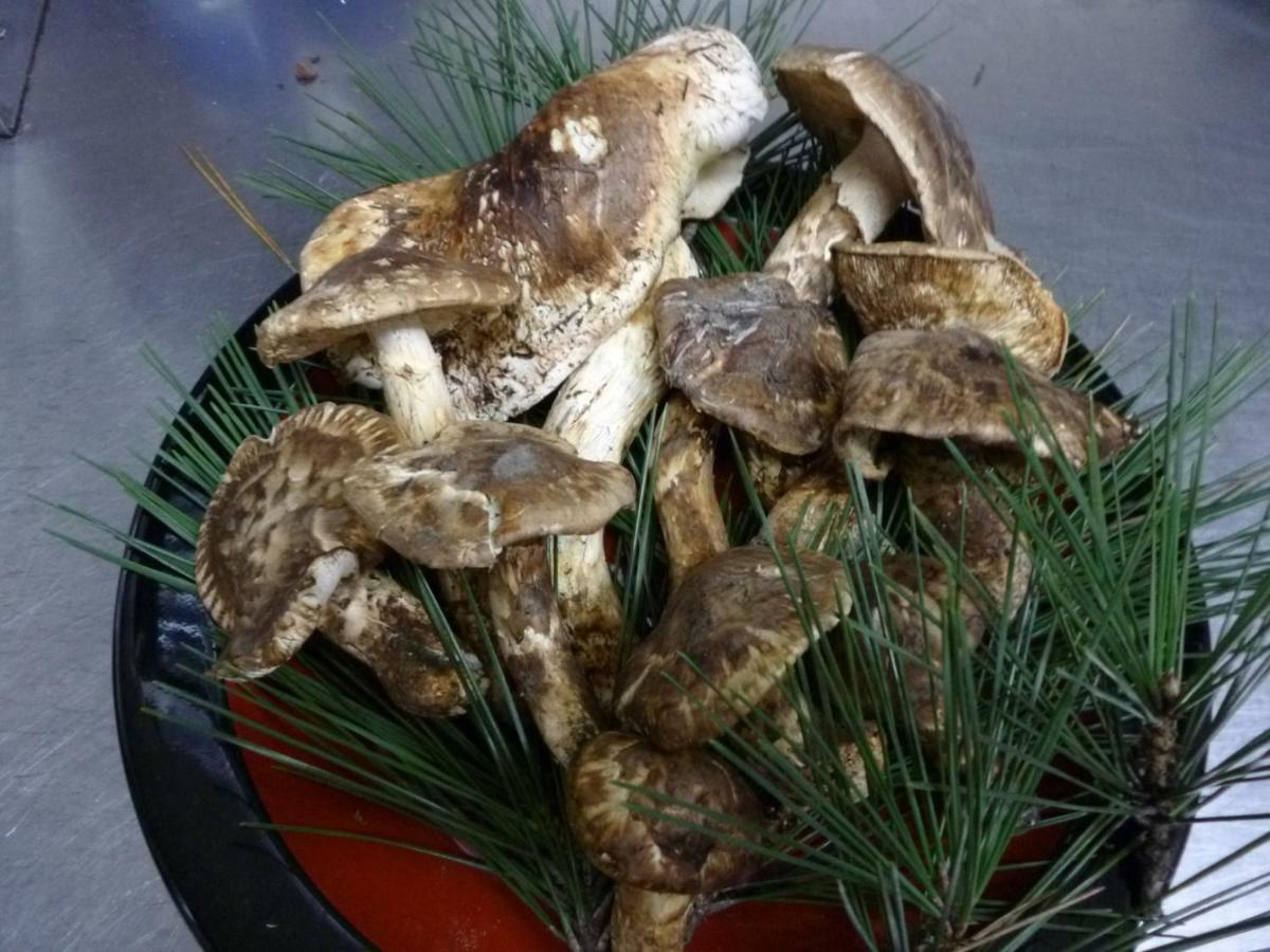 Bunanoyado Koase Aga Εξωτερικό φωτογραφία